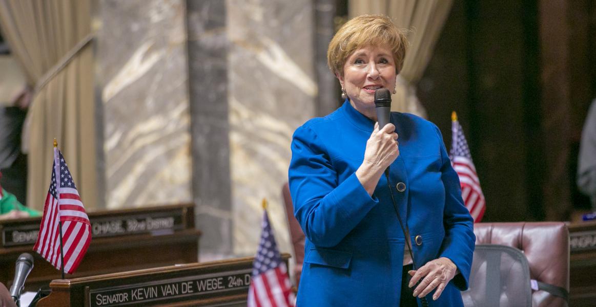 Sen. Lisa Wellman speaking on the senate floor